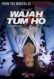 Wajah Tum Ho 2016 PreDVD Full Movie